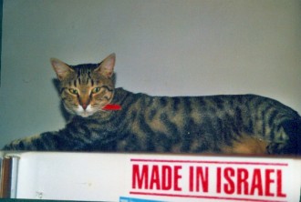 Miso is MADE IN ISRAEL