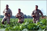 O Brother, Where Art Thou?