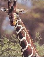 ��'��� �� ����� ����