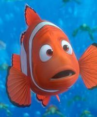 Finding Nemo