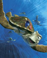 Crush with Dory and Marlin