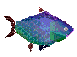rumble fish