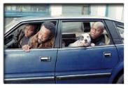 Tyrone, Sol and Vinny
