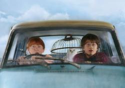 Ron, Hedwig and Harry in the flying Ford Anglia