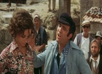 ������ ���� ����� ����