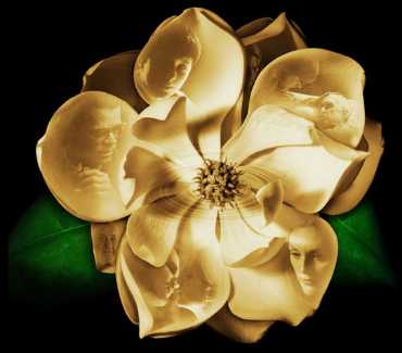 To MAGNOLIA Official WebSite