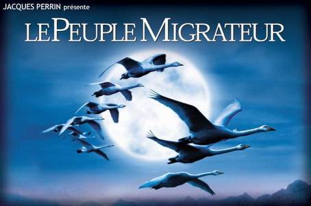 To SIGNS Official WebSite